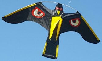 cerf volant prédator 2 et mat acier