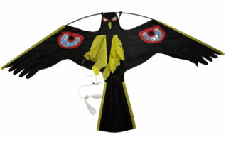 Cerf volant standard predator 2